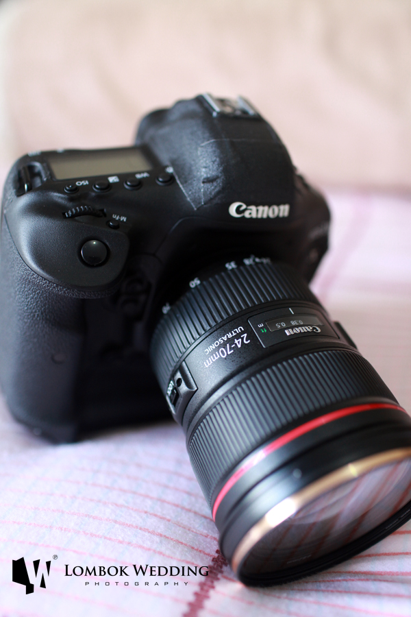Canon 1Dx Camera and Canon 24-70mm f2.8 II L USM Lens